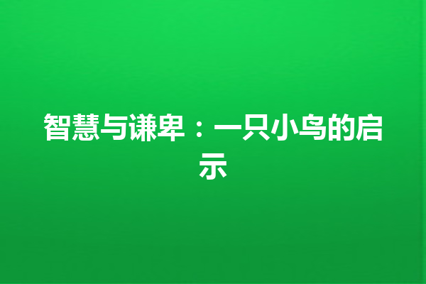 智慧与谦卑：一只小鸟的启示