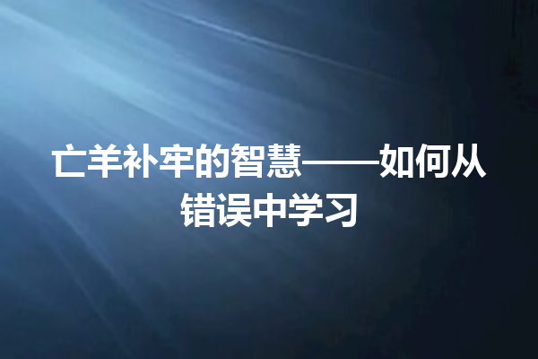 亡羊补牢的智慧——如何从错误中学习