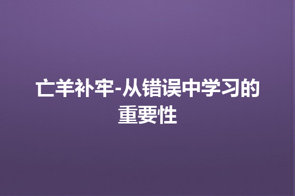 亡羊补牢-从错误中学习的重要性