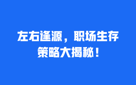 左右逢源，职场生存策略大揭秘！