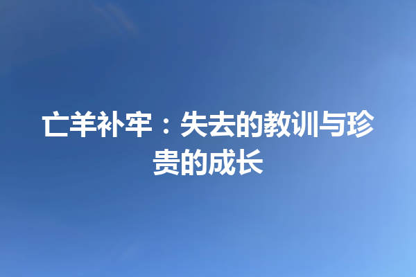 亡羊补牢：失去的教训与珍贵的成长