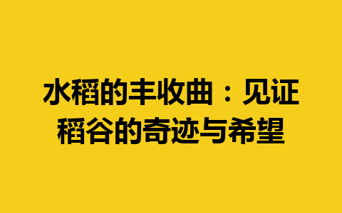 水稻的丰收曲：见证稻谷的奇迹与希望