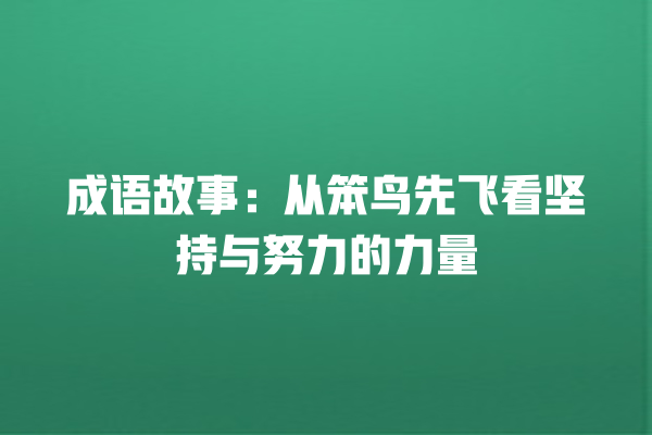 成语故事：从笨鸟先飞看坚持与努力的力量