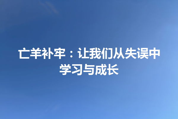 亡羊补牢：让我们从失误中学习与成长