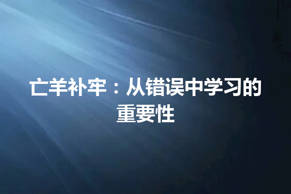 亡羊补牢：从错误中学习的重要性