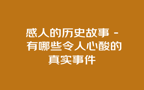 感人的历史故事 – 有哪些令人心酸的真实事件