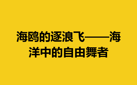 海鸥的逐浪飞——海洋中的自由舞者