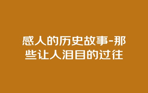 感人的历史故事-那些让人泪目的过往