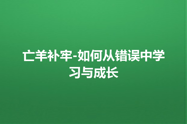 亡羊补牢-如何从错误中学习与成长