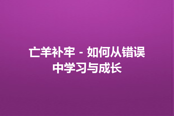 亡羊补牢 – 如何从错误中学习与成长