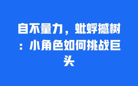 自不量力，蚍蜉撼树：小角色如何挑战巨头