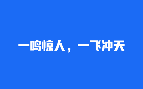 一鸣惊人，一飞冲天