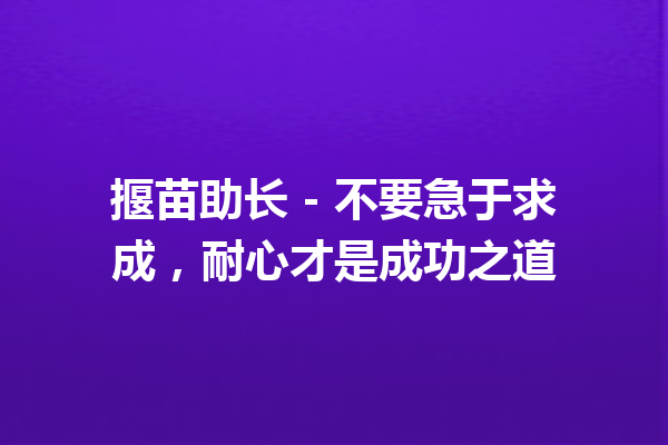 揠苗助长 – 不要急于求成，耐心才是成功之道