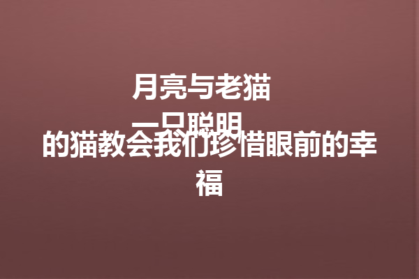 月亮与老猫  
一只聪明的猫教会我们珍惜眼前的幸福