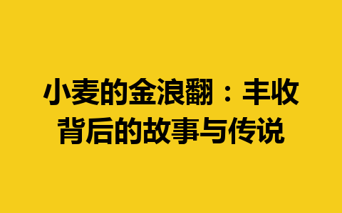 小麦的金浪翻：丰收背后的故事与传说