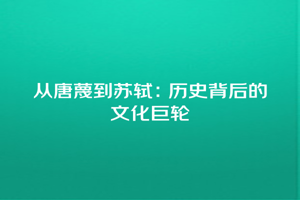 从唐蔑到苏轼：历史背后的文化巨轮