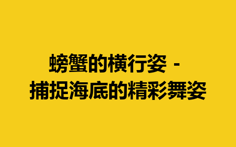 螃蟹的横行姿 – 捕捉海底的精彩舞姿