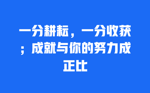 一分耕耘，一分收获；成就与你的努力成正比