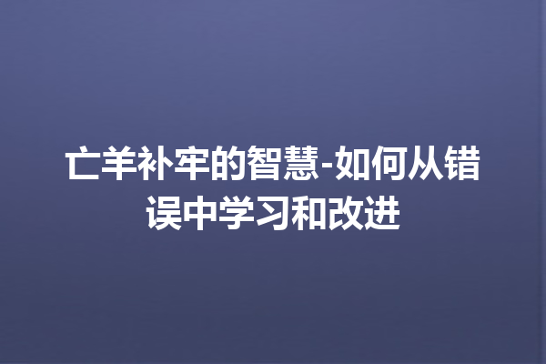 亡羊补牢的智慧-如何从错误中学习和改进