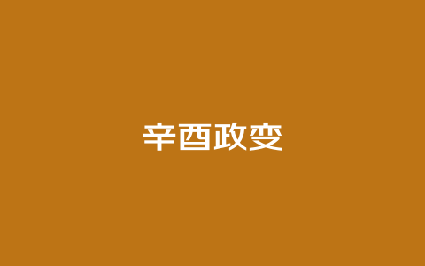 辛酉政变