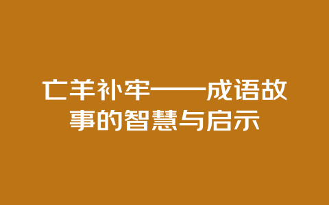 亡羊补牢——成语故事的智慧与启示