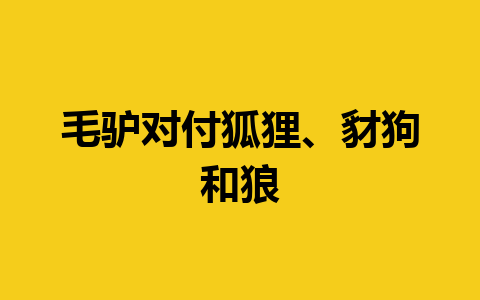 毛驴对付狐狸、豺狗和狼